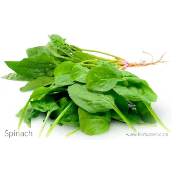 Organic Spinach